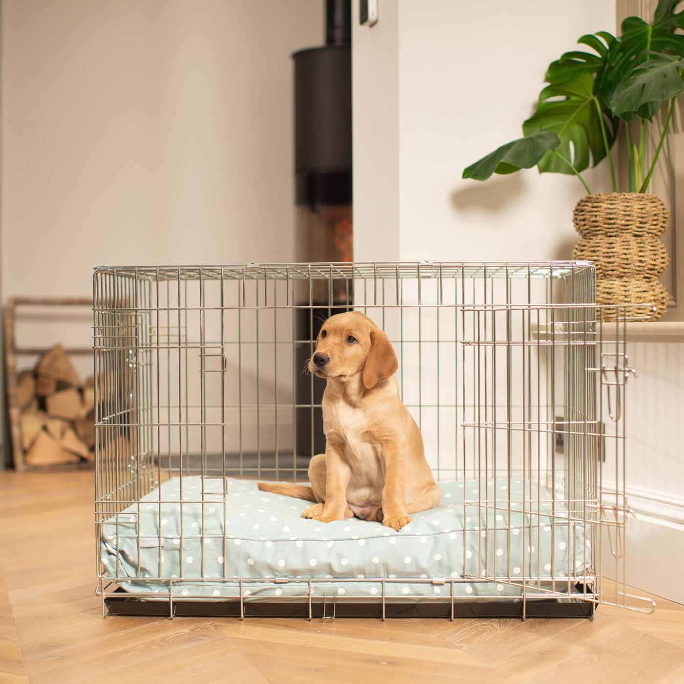 Dog Cushion in Duck Egg Spot