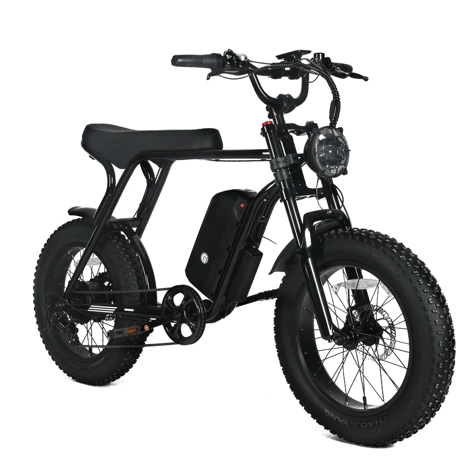 Electric Mountain Bike For Adults, 20 x 4.0 Fat Tires, 1000W Motor, 48V 20Ah Battery, Black - G-M1Sp