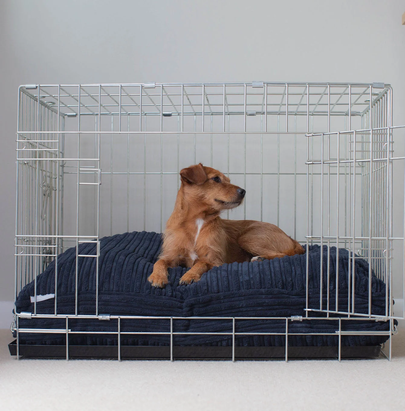 Dog Cushion in Navy Essentials