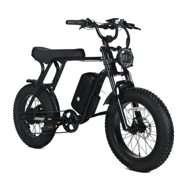 Electric Mountain Bike For Adults, 20 x 4.0 Fat Tires, 1000W Motor, 48V 20Ah Battery, Black - G-M1Sp