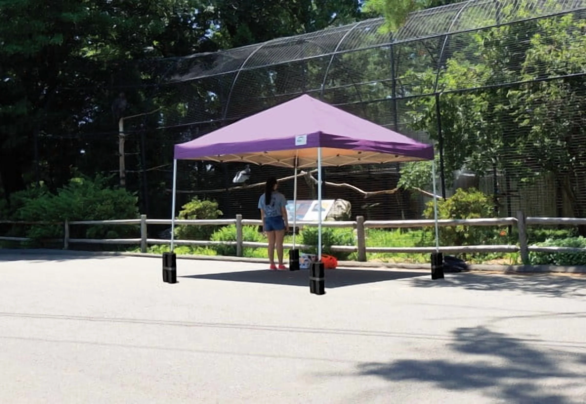 10′ x 10′ Pro Pop-up Canopy Straight Leg, Purple Cover