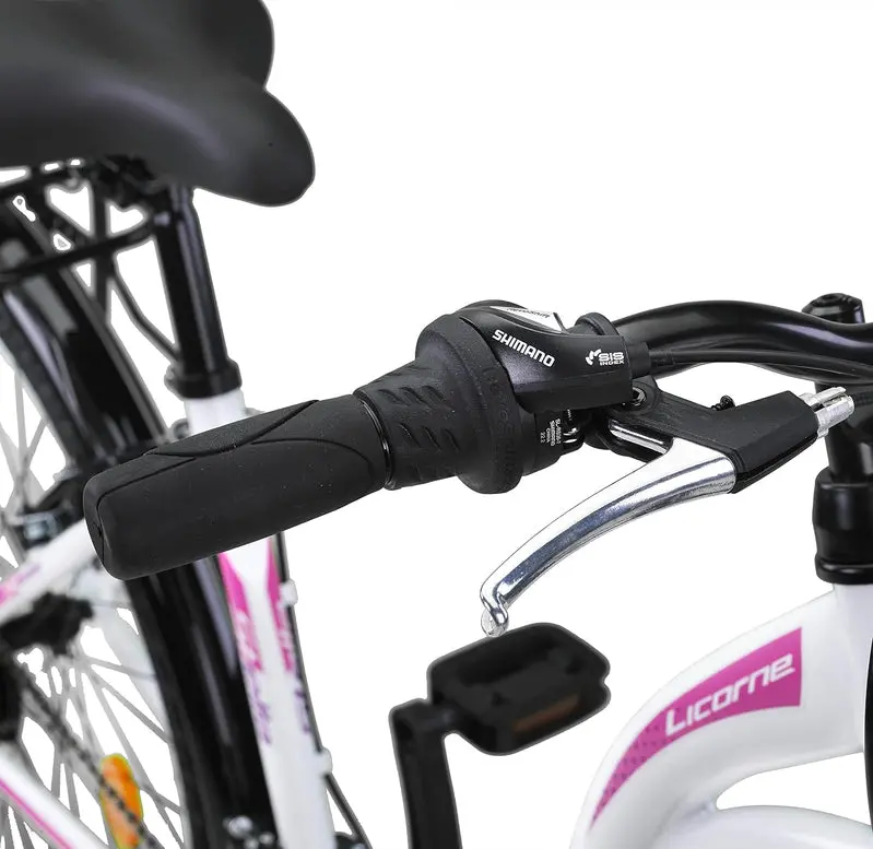 Licorne Urban City Bike, Aluminum Frame, 24.0 Inches/26.0 Inches/28.0 Inches - Stella Premium