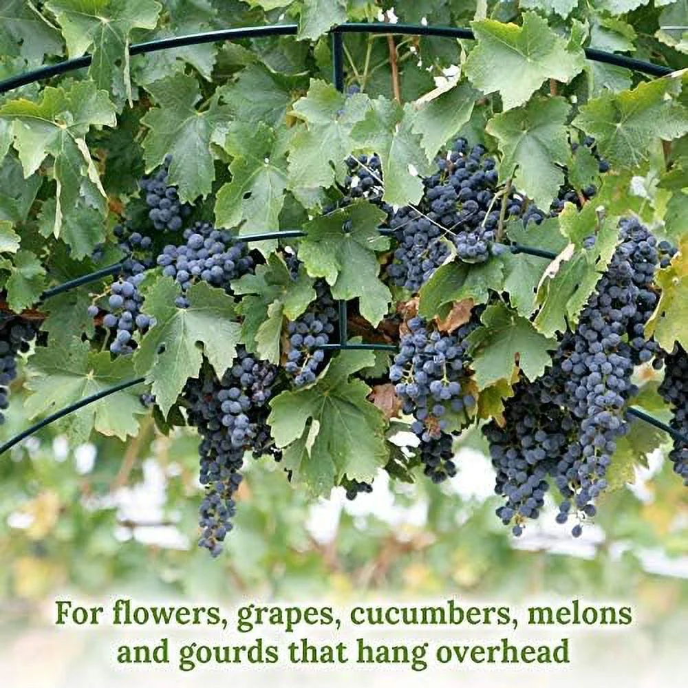 Large Garden Support Arch Frame Climbing Plant Arch Arbor for Various Climbing Plant Roses Vines Birthday Wedding Party Decoration Pergola Frame (6.5 x 7 x 7.2ft)