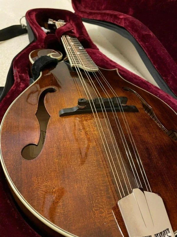 Eastman F-Style Mandolin, 8 Strings, Brown, With Hard Case - MD515