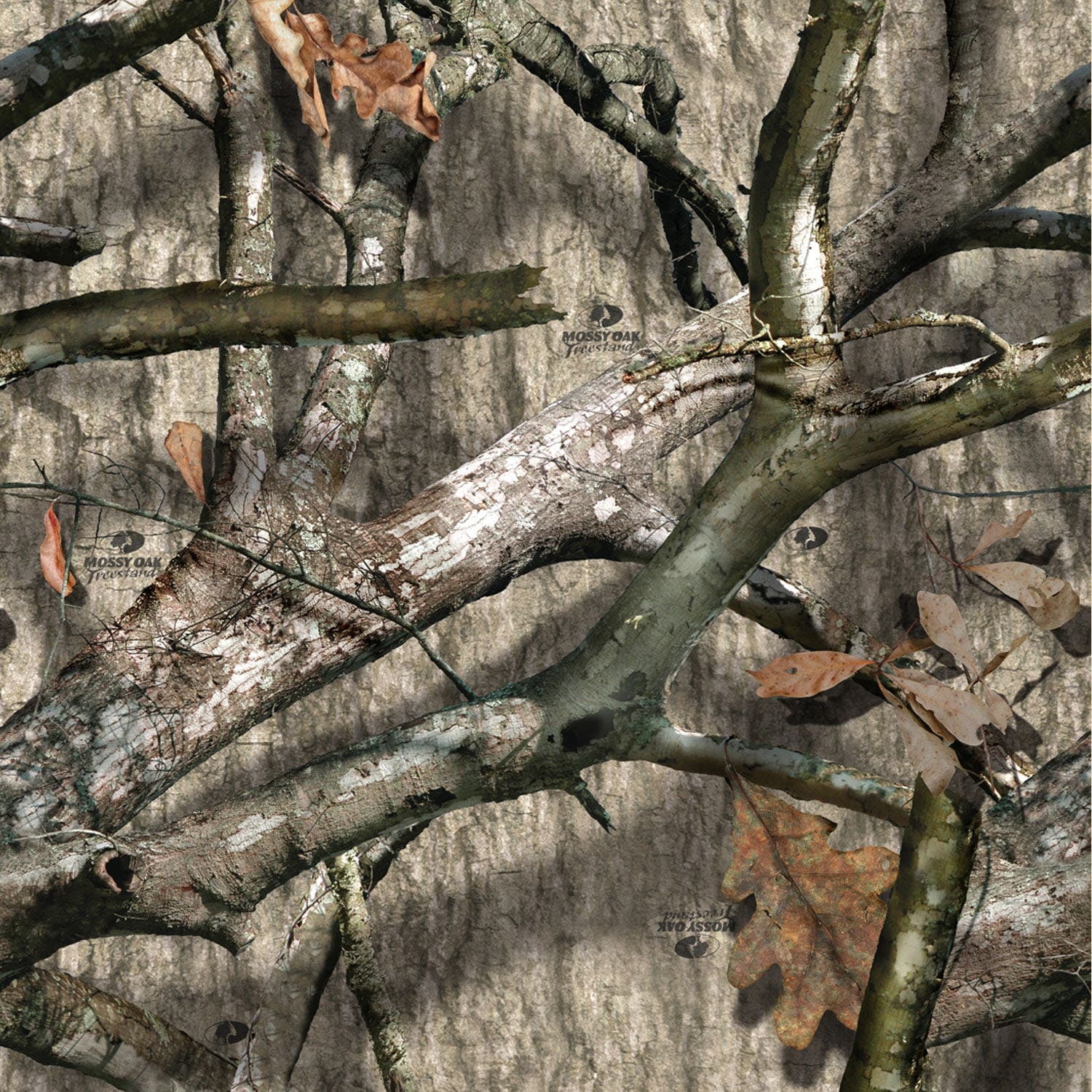 Mossy Oak Camo Tailgate Graphic – Compact Truck (58″ x 24″) – Duck Blind