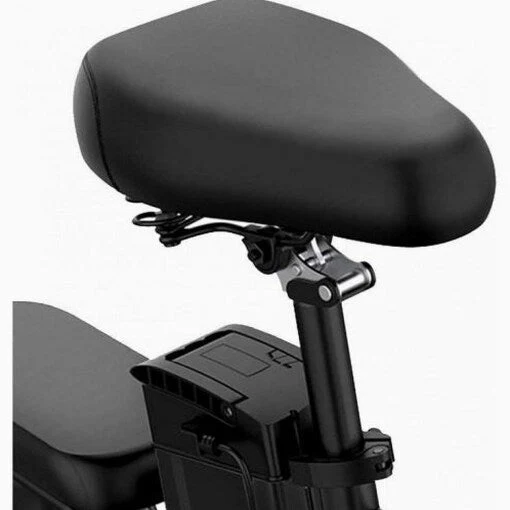 Folding Electric Bike 250W, 14 Inch, LCD Display, Removable Battery, Dual Disc Brake, Black