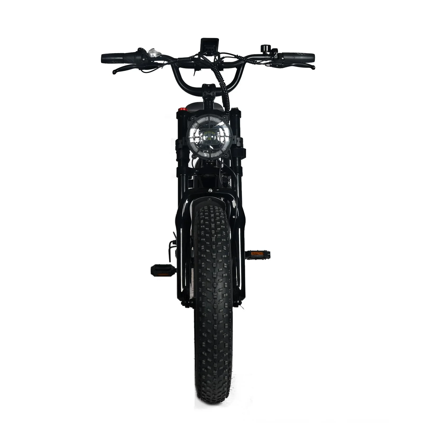Electric Mountain Bike For Adults With 20 x 4.0 Fat Tires, 1000W Motor, 48V 20Ah Removable Battery, 45MPH Speed, 7-Speed