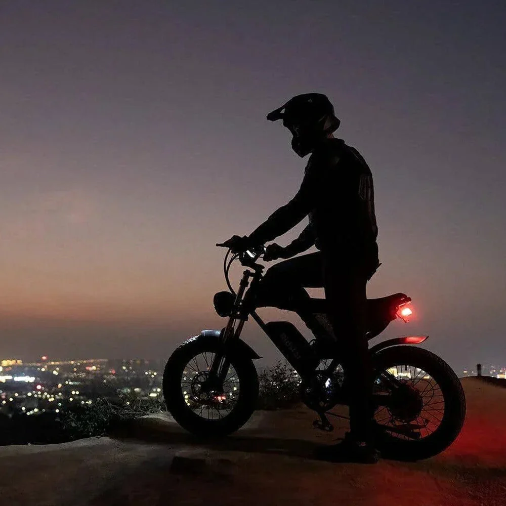 Dual Motor Electric Bike 2000W 52V 40Ah – Q20PRO