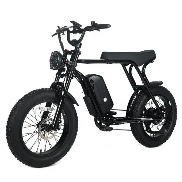 Electric Mountain Bike For Adults With 20 x 4.0 Fat Tires, 1000W Motor, 48V 20Ah Removable Battery, 45MPH Speed, 7-Speed