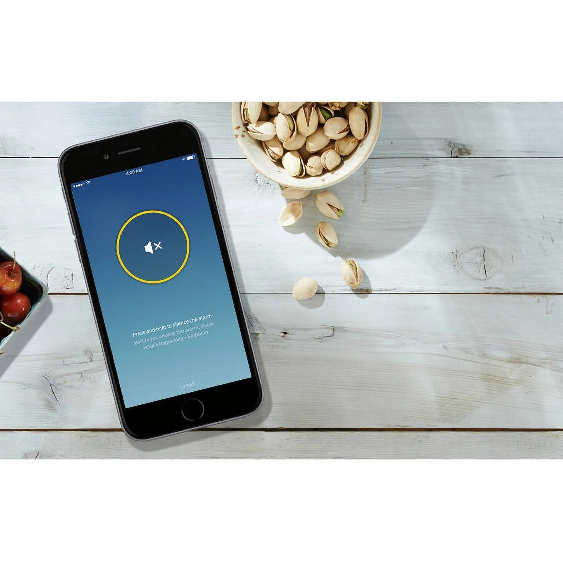 Google S3003LWES, Nest Protect Wired Split-Spectrum Sensor Smoke Alarm