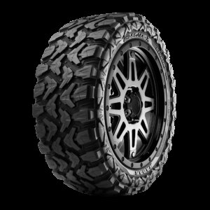 Radar Renegade X LT295/70R18 E/10PLY BSW All-Season Tire