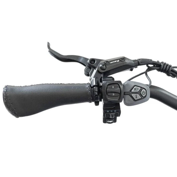 DWMEIGI Silverado 20 Foldable Fat Tire Electric Trike 48V/14AH 750W, 330LBS - MG2301