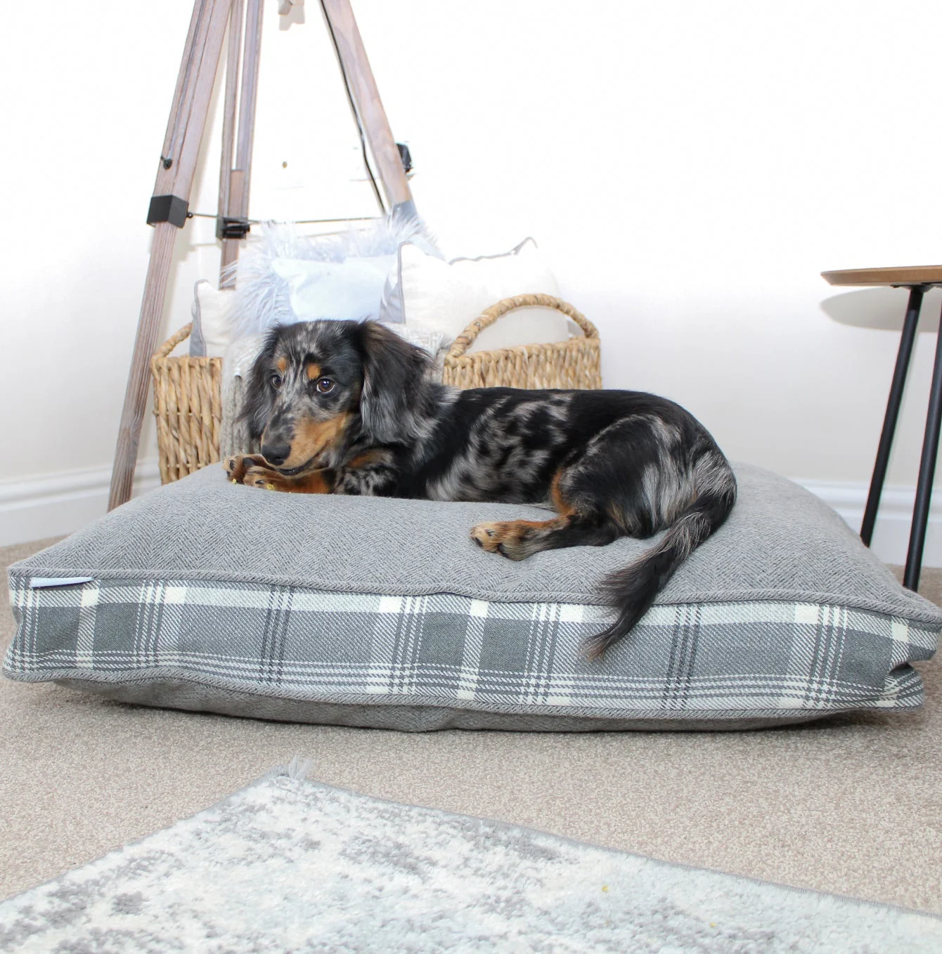 Dog Cushion in Balmoral Dove Grey Tweed