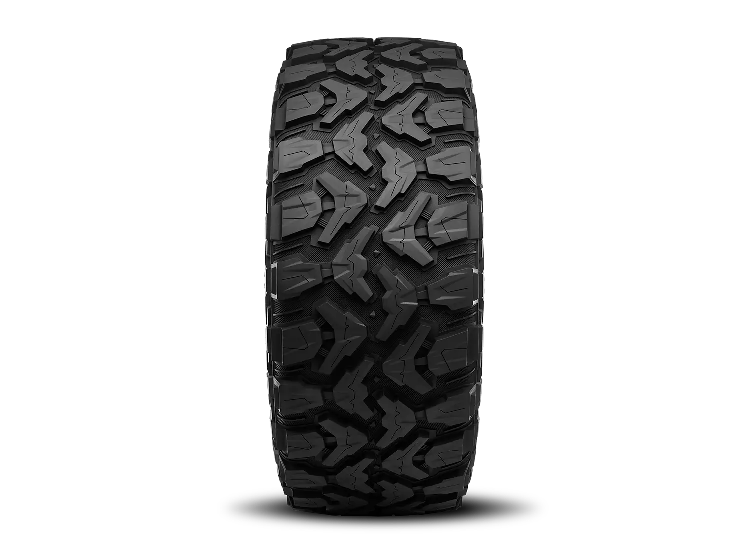 Radar Renegade X LT295/70R18 E/10PLY BSW All-Season Tire