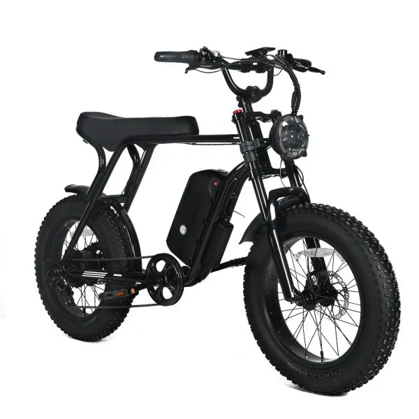 Electric Mountain Bike For Adults With 20 x 4.0 Fat Tires, 1000W Motor, 48V 20Ah Removable Battery, 45MPH Speed, 7-Speed