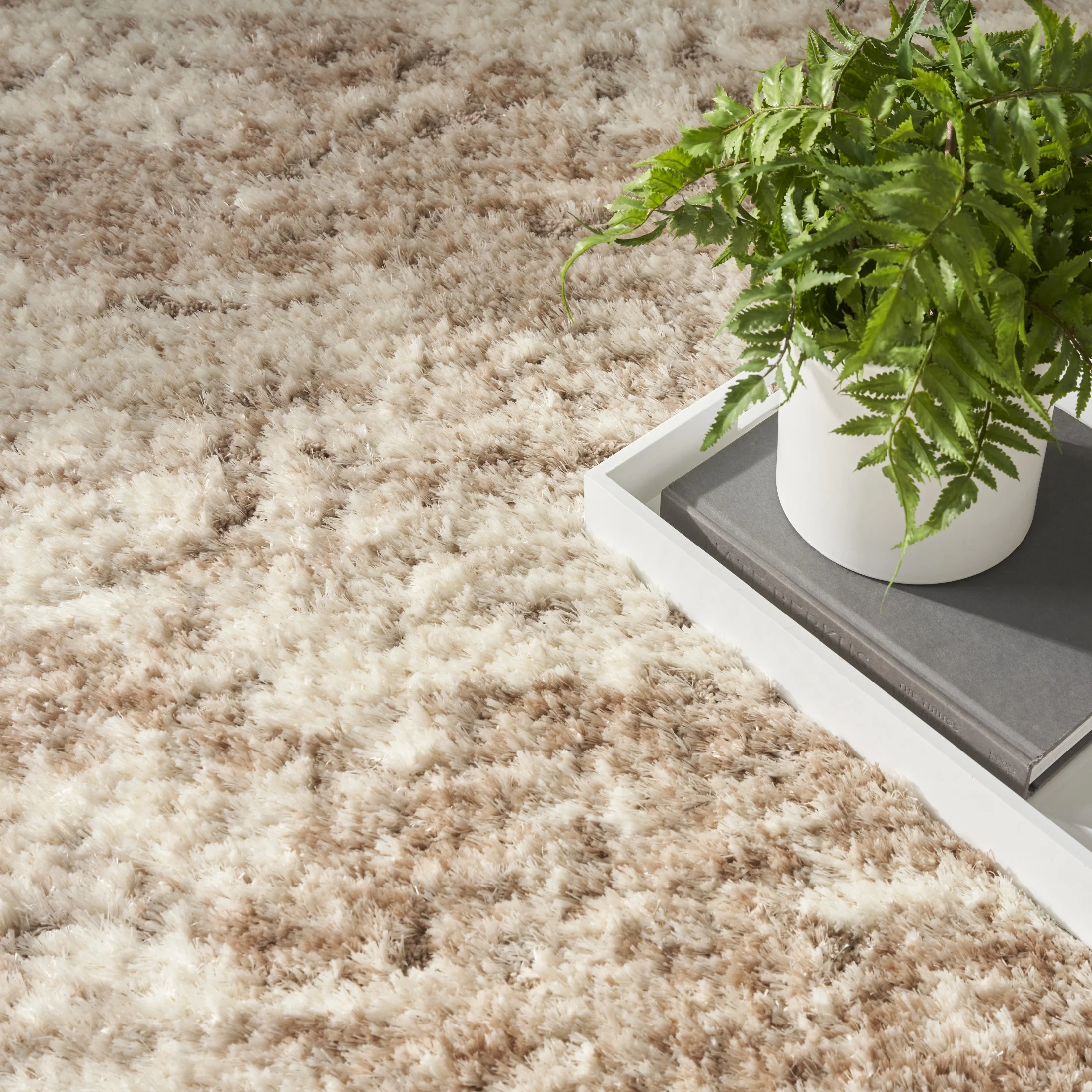 Nourison Luxurious Shag 5'3" x 7'3" Ivory Dark Beige Modern Indoor Rug