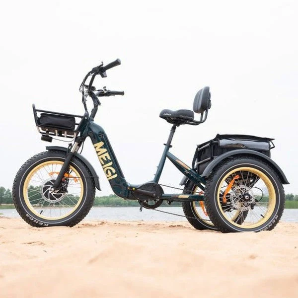 DWMEIGI Silverado 20 Foldable Fat Tire Electric Trike 48V/14AH 750W, 330LBS - MG2301