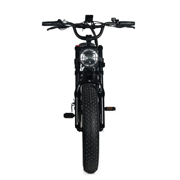 Electric Mountain Bike For Adults, 20 x 4.0 Fat Tires, 1000W Motor, 48V 20Ah Battery, Black – G-M1Sp