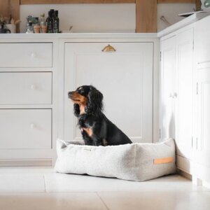 Box Bed in Sandstone