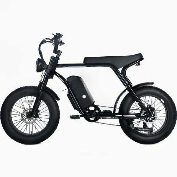 Electric Mountain Bike For Adults, 20 x 4.0 Fat Tires, 1000W Motor, 48V 20Ah Battery, Black - G-M1Sp