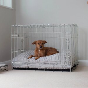Dog Cushion in Light Grey Essentials