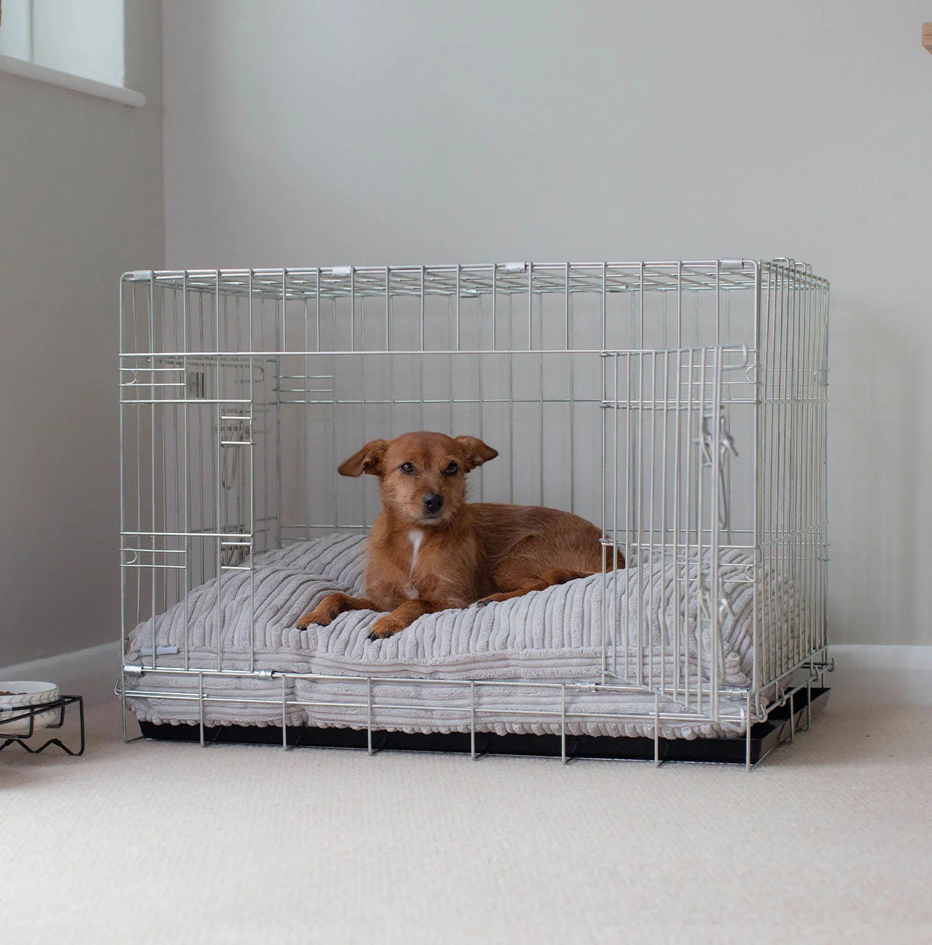 Dog Cushion in Light Grey Essentials