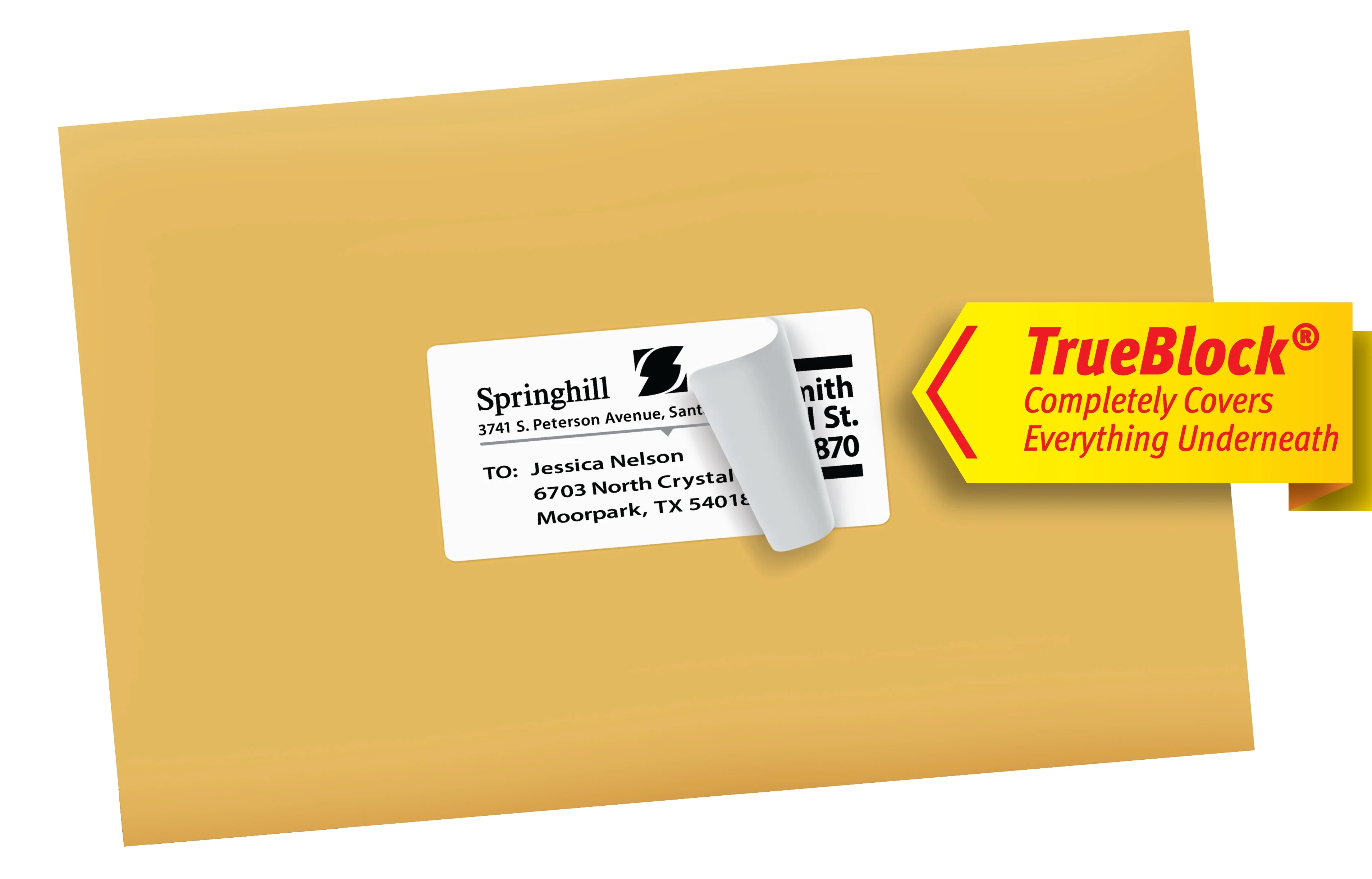 Avery Shipping Labels, 2" x 4", White, 1,000 Labels (5163) - 5 Pack