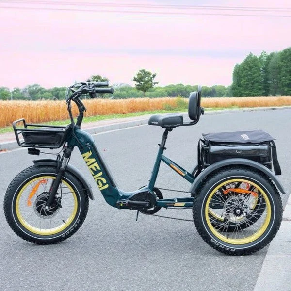 DWMEIGI Silverado 20 Foldable Fat Tire Electric Trike 48V/14AH 750W, 330LBS – MG2301