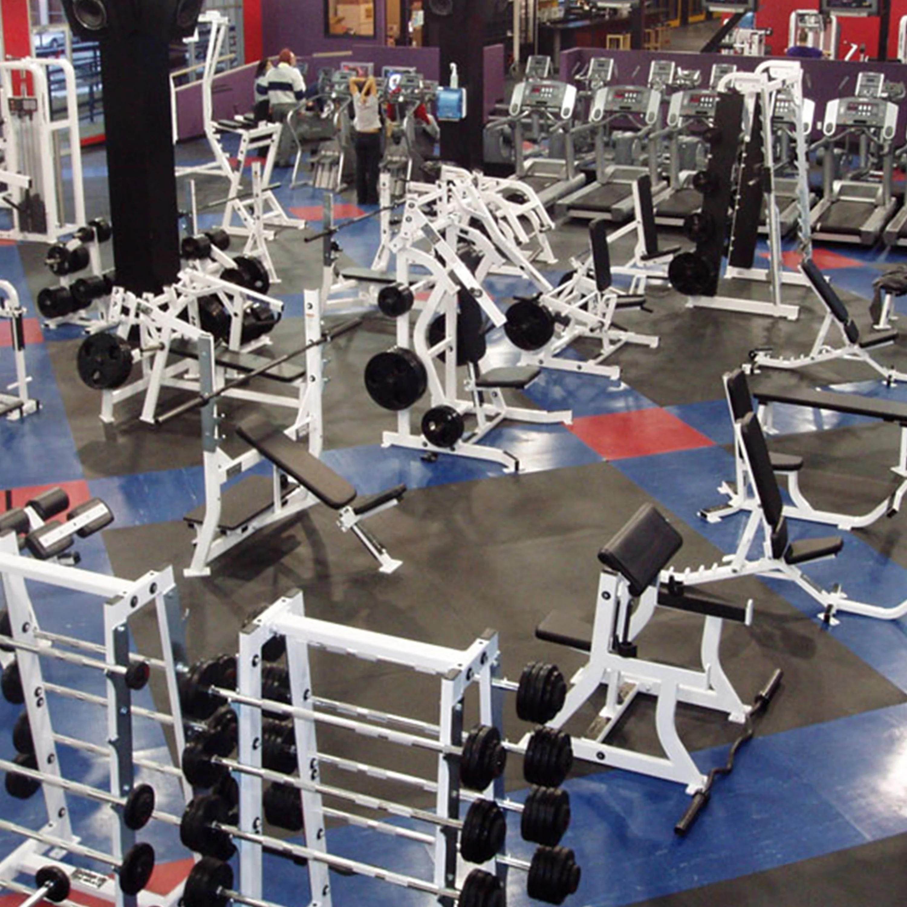 FlooringInc Premium 8mm Thick Rubber Gym Flooring & Equipment Mats, 4ft x 6ft, Grey