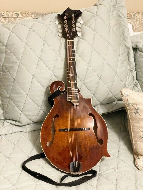 Eastman F-Style Mandolin, 8 Strings, Brown, With Hard Case – MD515