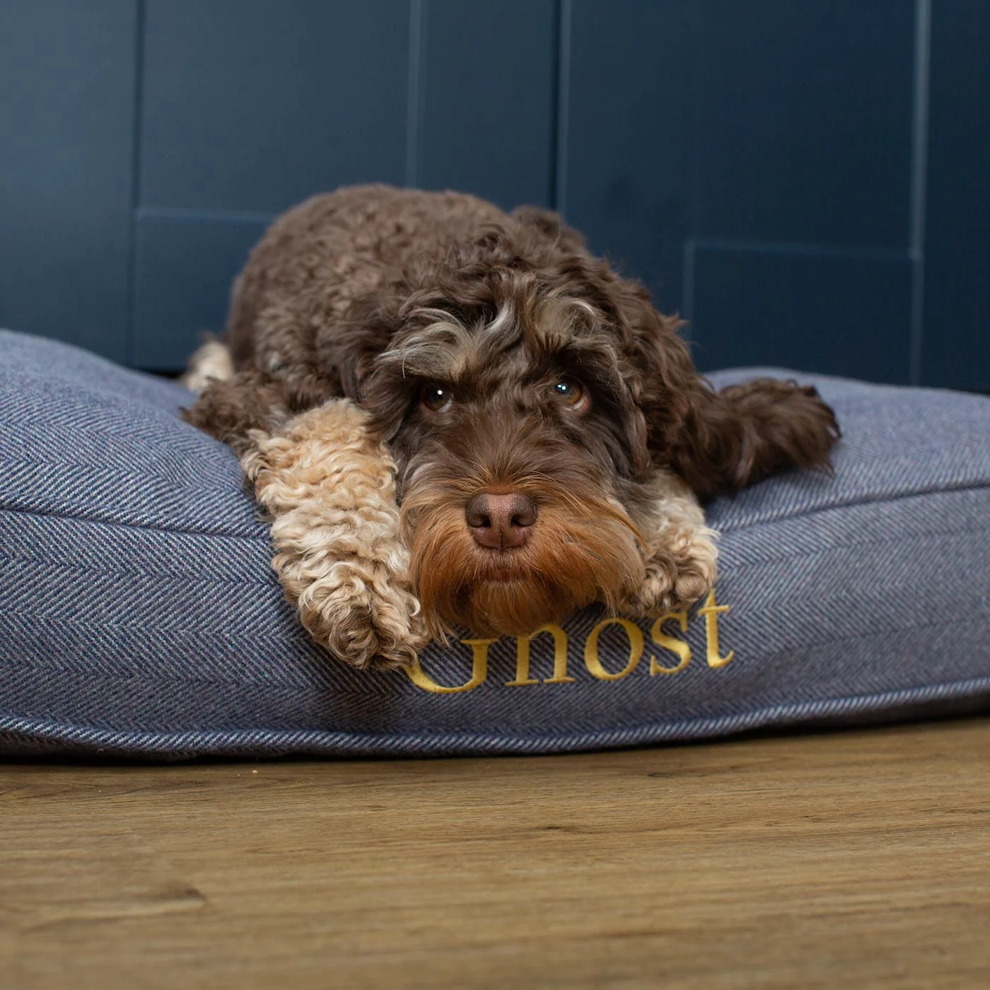Dog Cushion in Oxford Herringbone Tweed