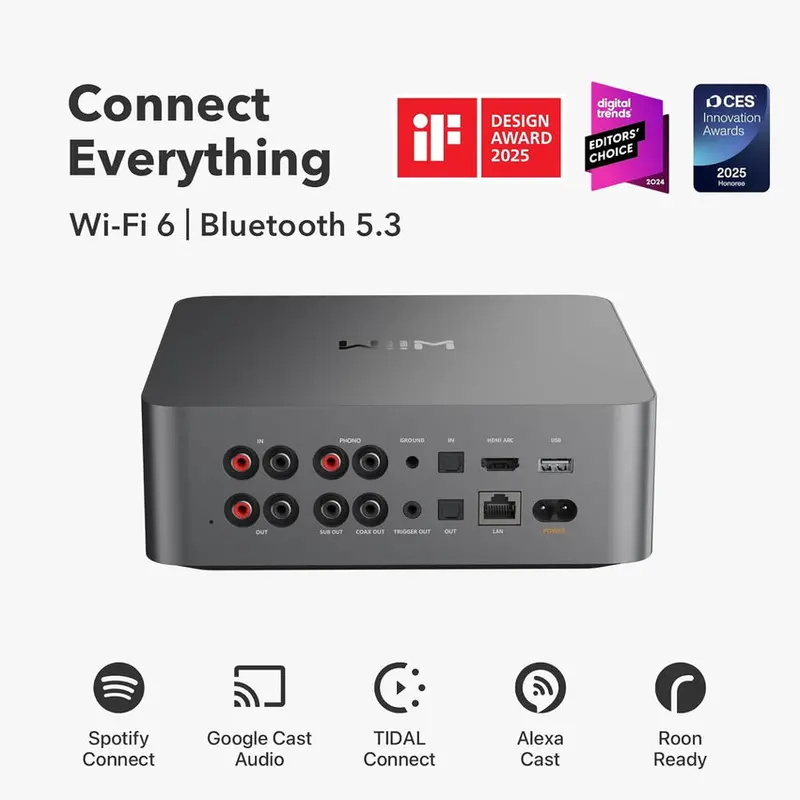 WiiM Music Streaming Preamplifier With 3.5in Touchscreen – Ultra
