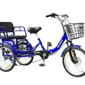 WEIMMIN Adult Folding Tricycle, 20 Inch, 3 Wheel, 7 Speed, Star Strip Blue