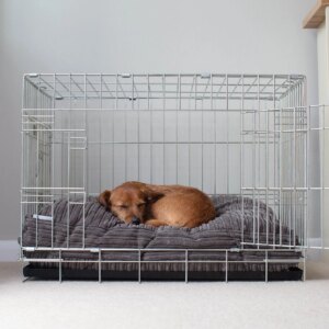 Dog Cushion in Dark Grey Essentials