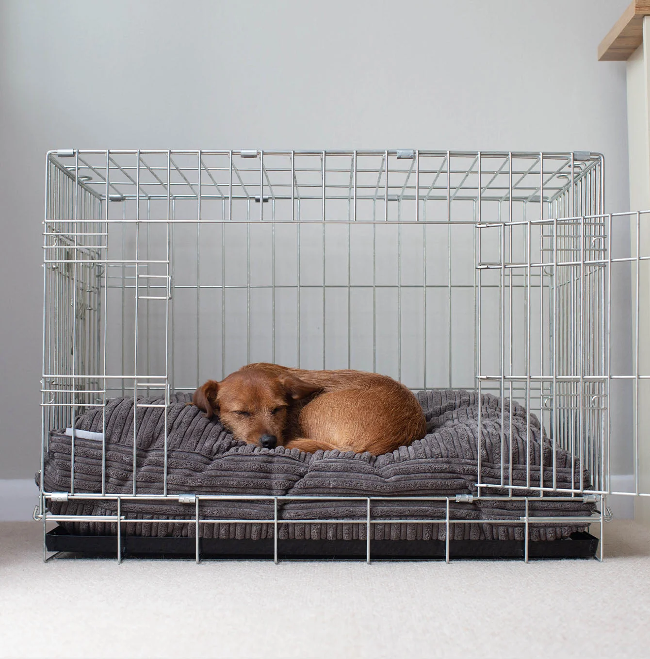 Dog Cushion in Dark Grey Essentials