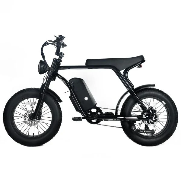 Electric Mountain Bike For Adults With 20 x 4.0 Fat Tires, 1000W Motor, 48V 20Ah Removable Battery, 45MPH Speed, 7-Speed