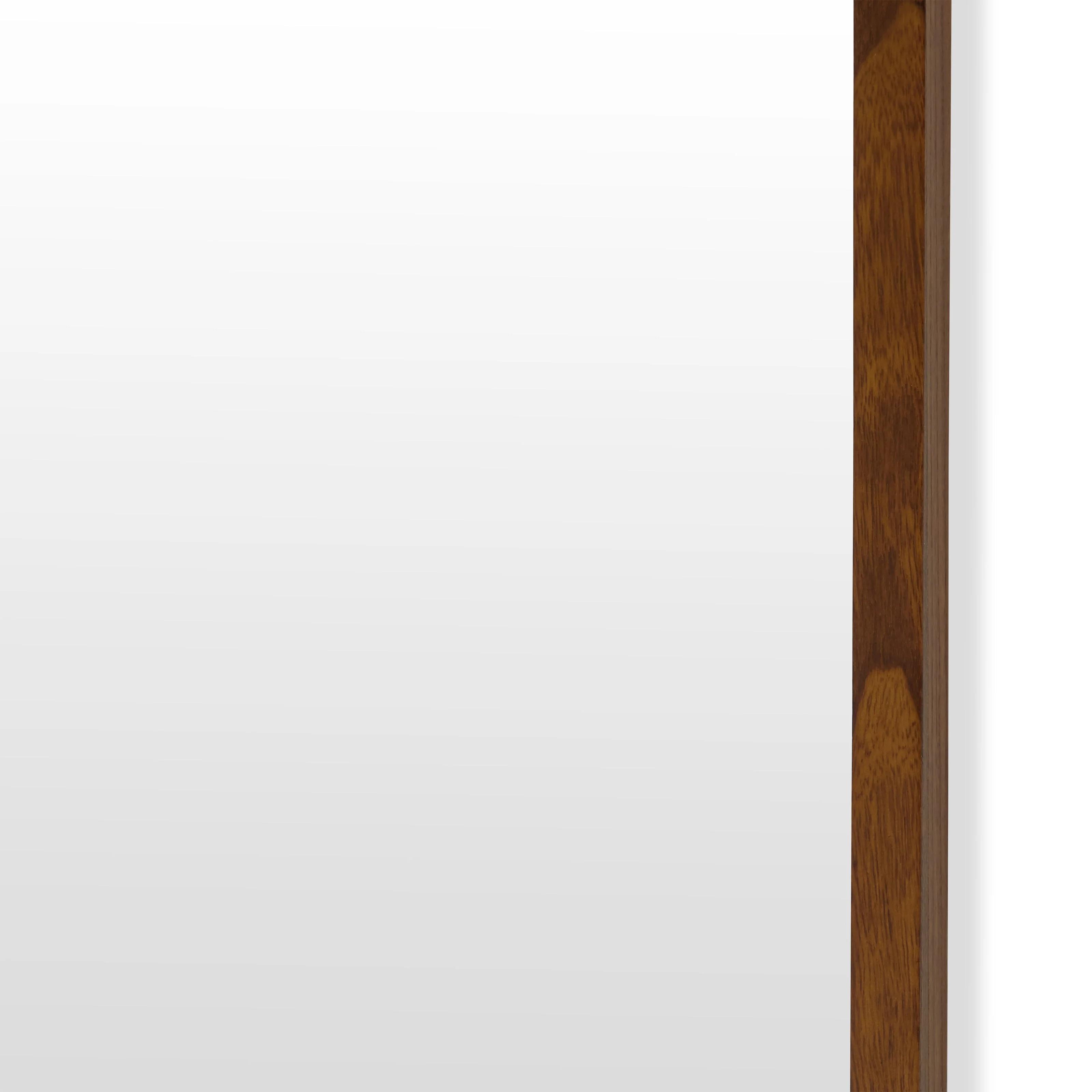 24" x 65" Brown Rectangle Wood Leaner Mirror by Drew Barrymore Flower Home