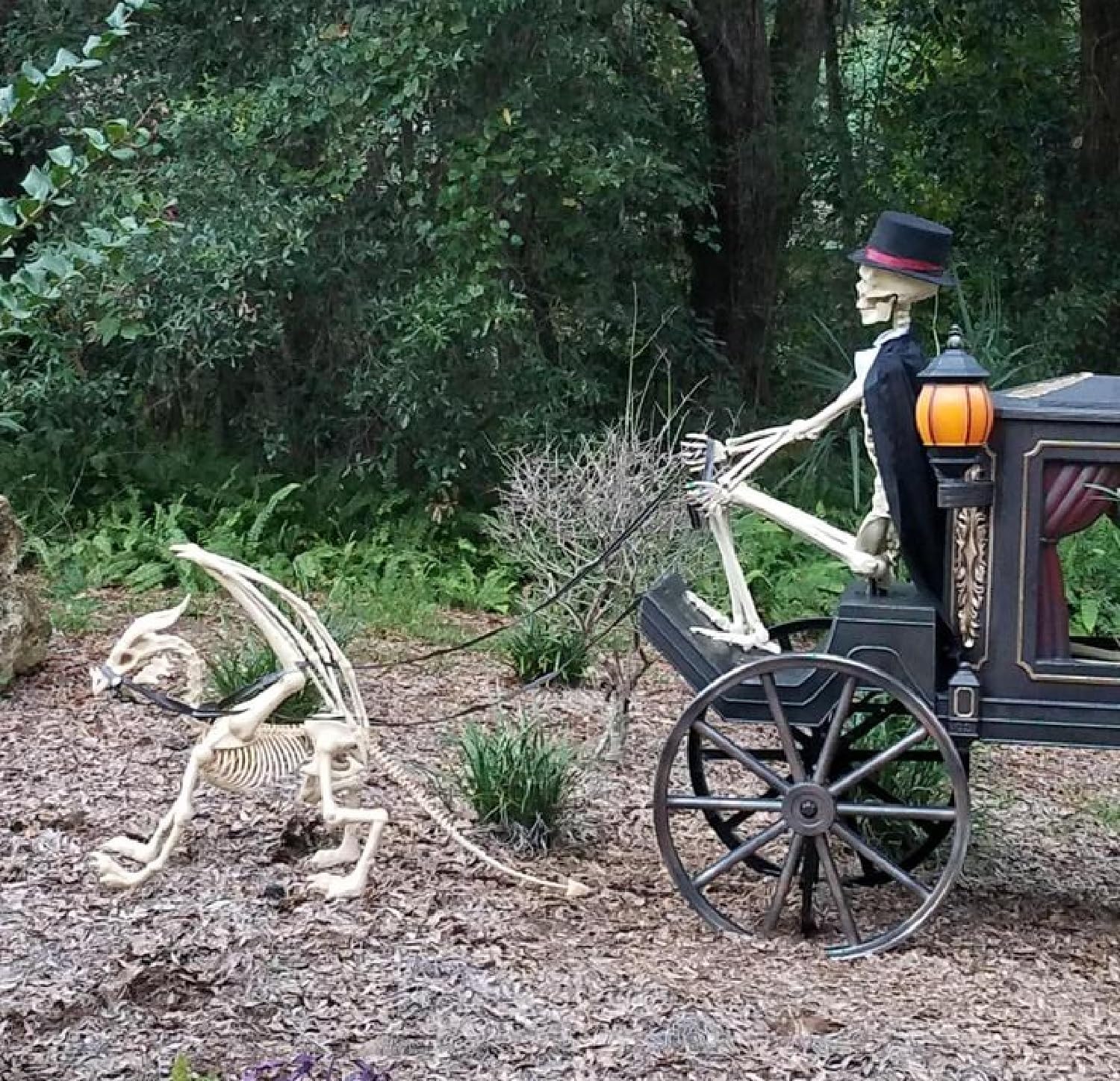 Large 4ft pterosaur skeleton, halloween decoration