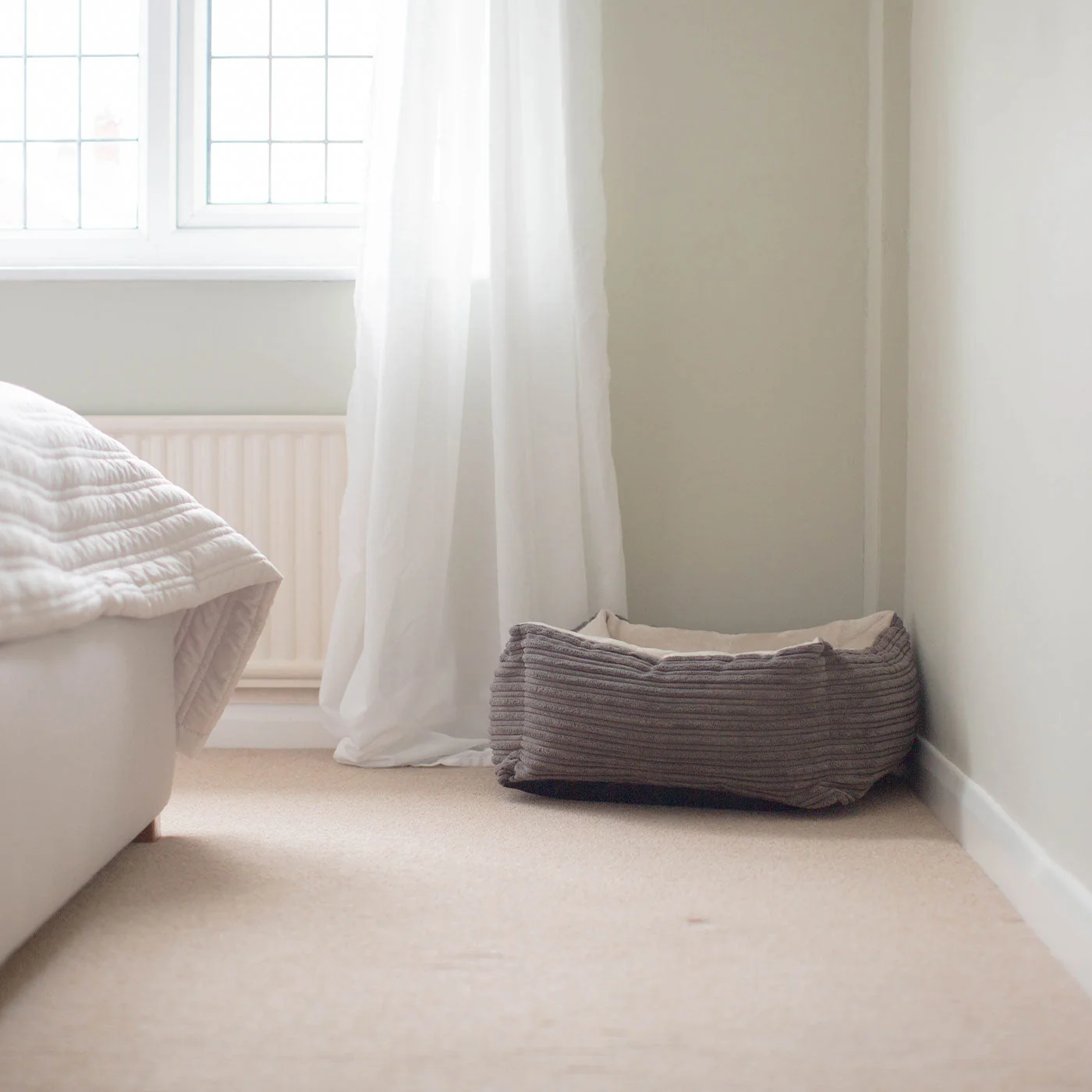 Box Bed For Dogs in Essentials Plush