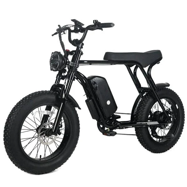 Electric Mountain Bike For Adults, 20 x 4.0 Fat Tires, 1000W Motor, 48V 20Ah Battery, Black - G-M1Sp