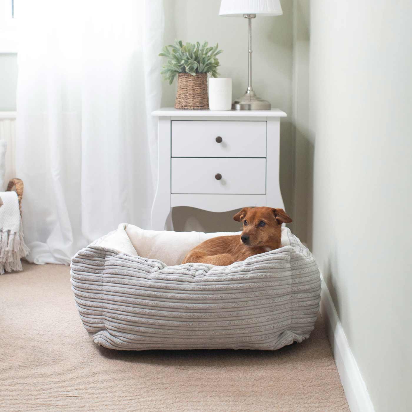 Box Bed For Dogs in Essentials Plush