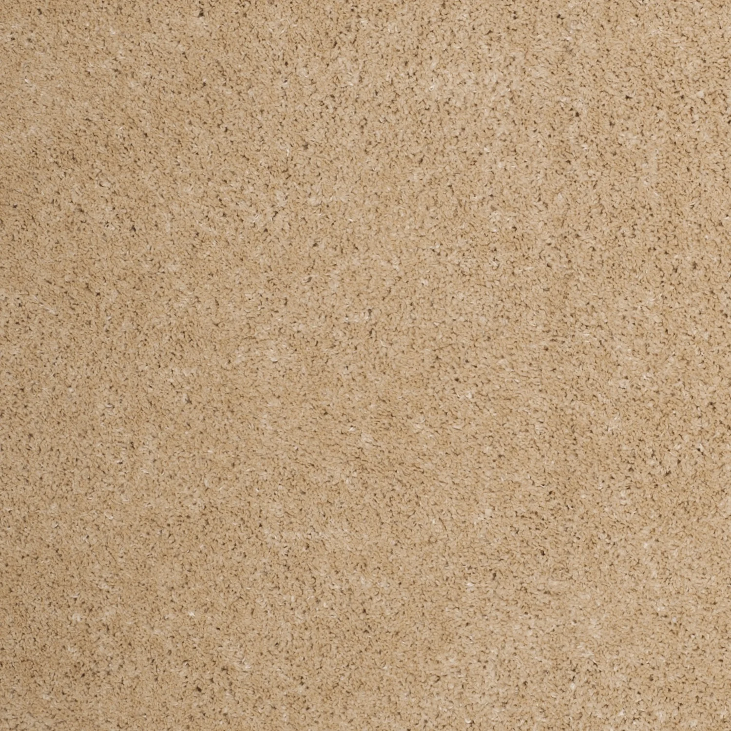 SAFAVIEH Colorado Tarek Solid Shag Runner Rug, Champagne, 2'3" x 8'