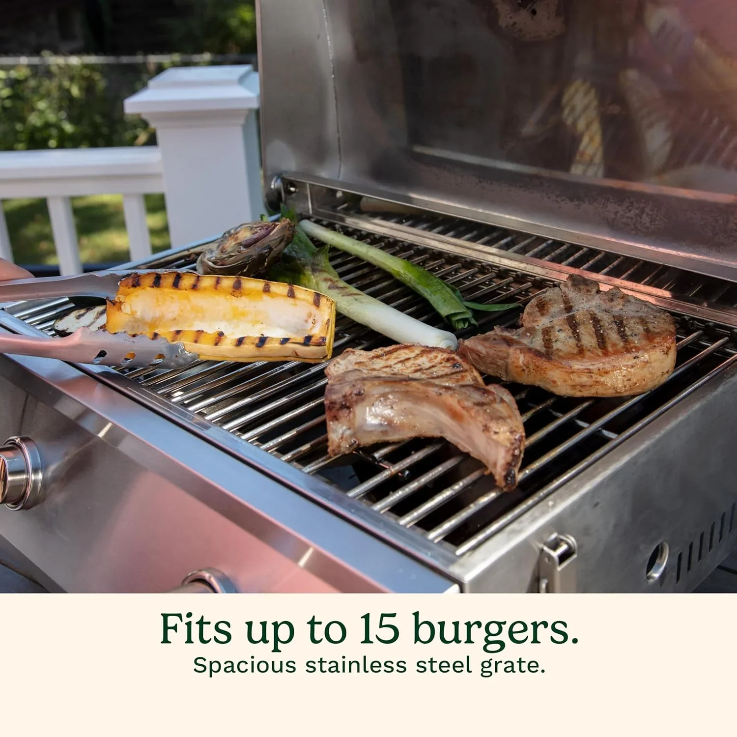 Cuisinart Chef’s Style Tabletop Portable Propane Grill 20000 BTU 2-Burner Outdoor Gas Grill