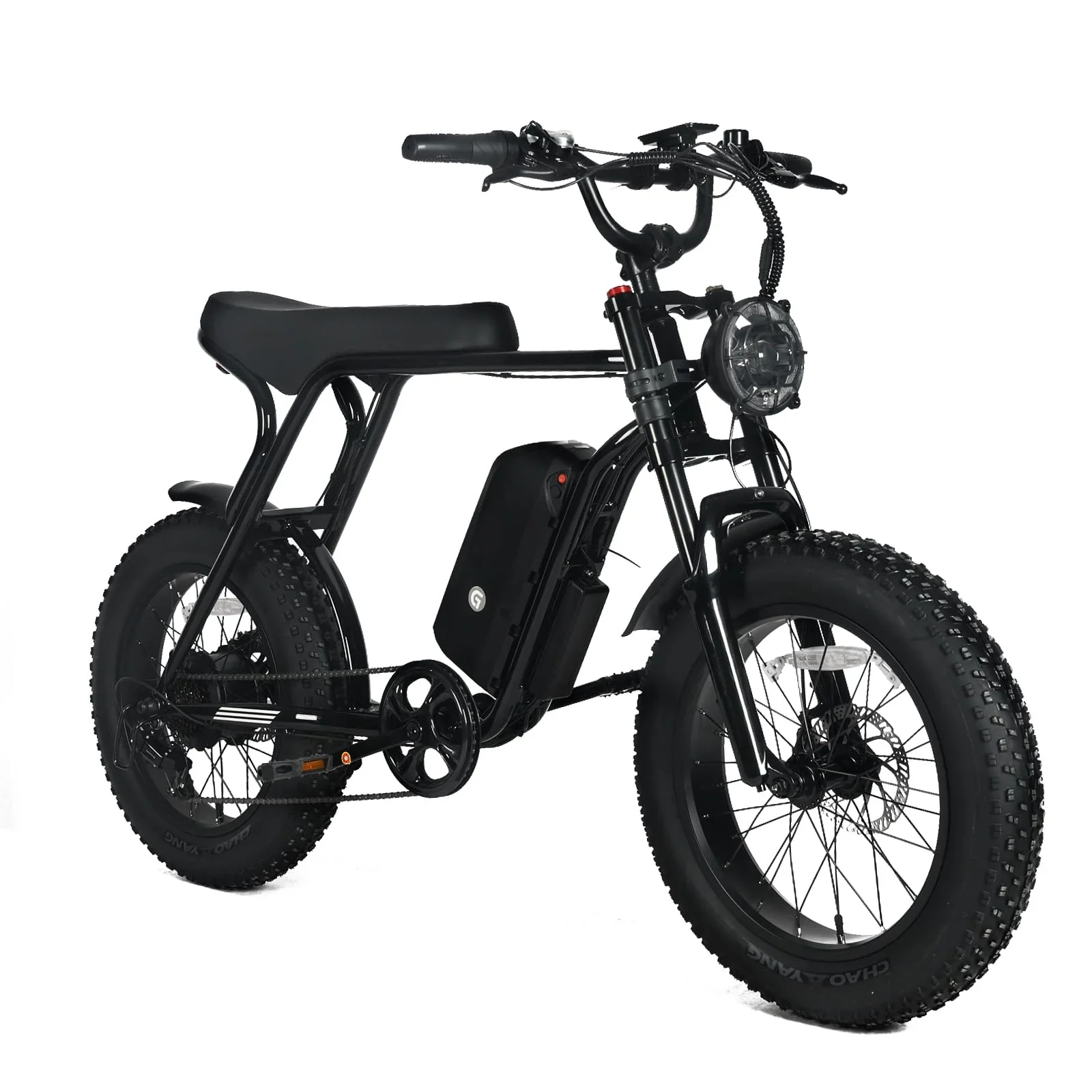 Electric Mountain Bike For Adults With 20 x 4.0 Fat Tires, 1000W Motor, 48V 20Ah Removable Battery, 45MPH Speed, 7-Speed