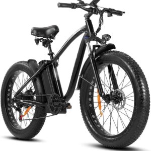 Electric Bike With 48V/15Ah Lithium Battery, 750W Motor And 26-Inch x 4.0-Inch Fat Tires