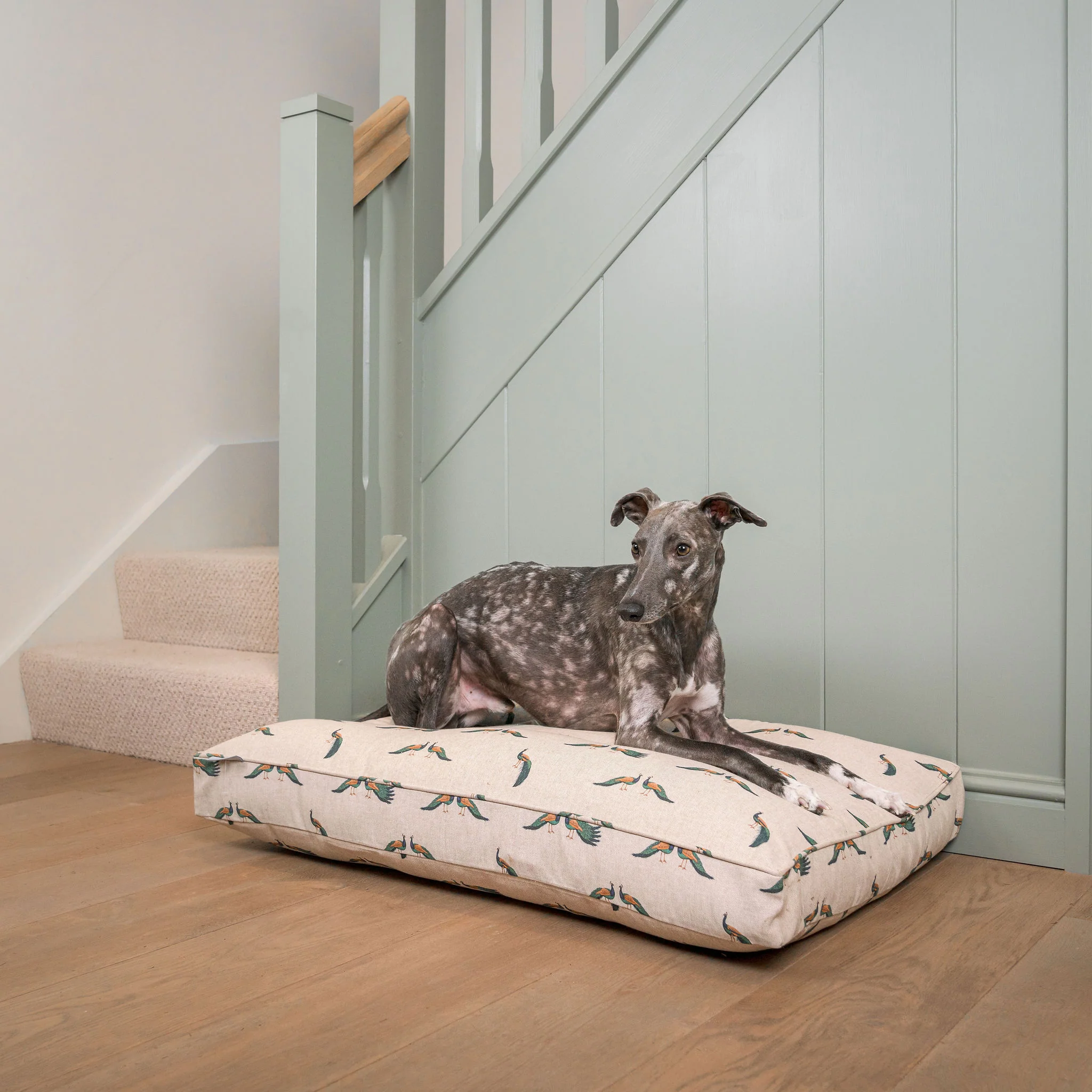 Dog Cushion in Woodland Peacock