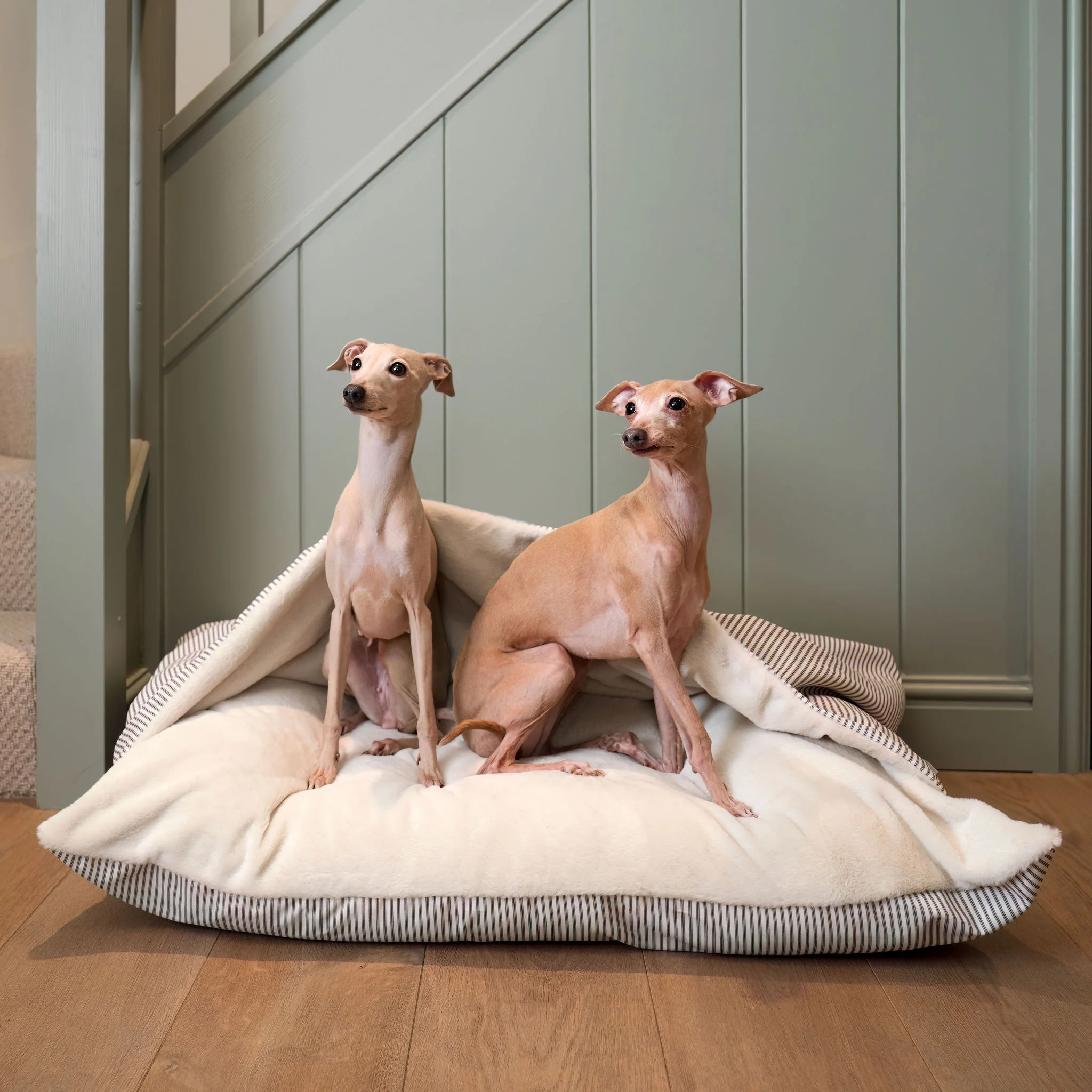 Bed in Regency Stripe