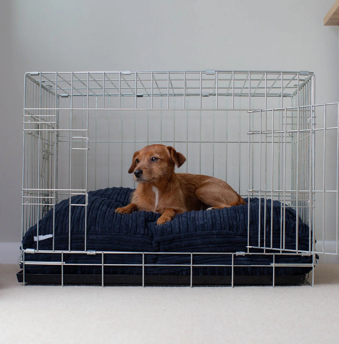 Dog Cushion in Navy Essentials